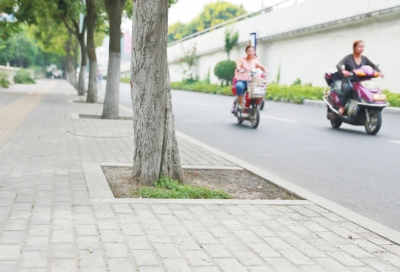  九都路的人行路面鋪設(shè)了透水磚，存在部分﹃海綿﹄功效。</P>
<P>一組研究數(shù)據(jù)顯示，若每棵樹(shù)的樹(shù)坑低于路面0.3米，下雨時(shí)便可蓄雨水0.432立方米?！跋乱徊剑尻?yáng)也 將申報(bào)海綿城市造就汲引試點(diǎn)城市，示范區(qū)海綿城市造就汲引對(duì)于全市督促海綿城市造就汲引將供給很重要的經(jīng)驗(yàn)。</P>
<P><B>[現(xiàn)狀]市區(qū)已有部分“海綿”結(jié)構(gòu)</B></P>
<P>這么高峻上，海綿城市會(huì)不會(huì)離現(xiàn)實(shí)很遠(yuǎn)？對(duì)此，胡斌詮釋說(shuō)，實(shí)在海綿城市的雛形在洛陽(yáng)已經(jīng)遍地可見(jiàn)，比方新建市區(qū)的人工湖、高空停車場(chǎng)鋪設(shè)的多孔磚、人行道上的透水鋪裝，這些步履方法在滿足市民操作以外，已經(jīng)兼?zhèn)洳糠帧昂＞d”功效。